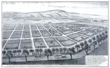 Bird's Eye View Poplar City, Moses Davis, Santa Clara County 1876